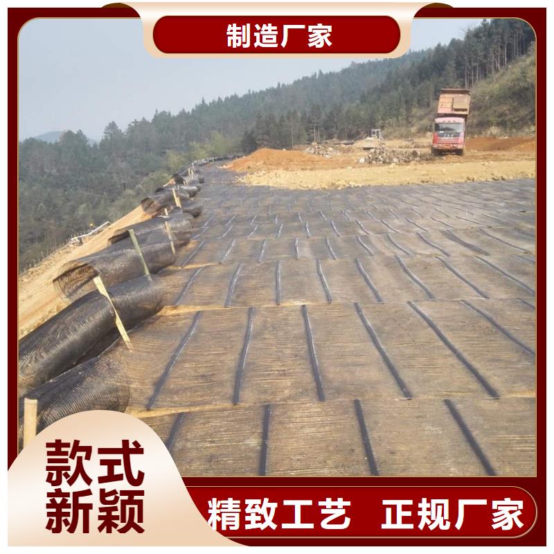 钢塑土工格栅涤纶土工格栅真正让利给买家
