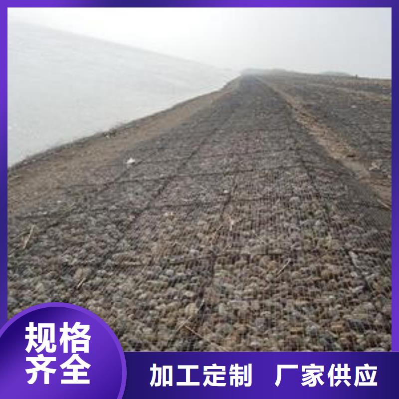 钢塑土工格栅涤纶土工格栅真正让利给买家