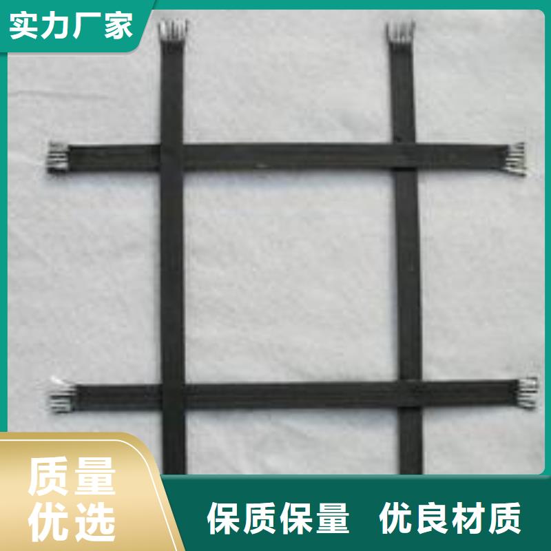 钢塑土工格栅土工席垫实力商家