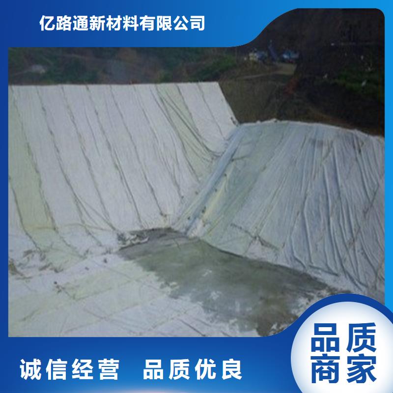 【土工布】护坡土工网工艺精细质保长久
