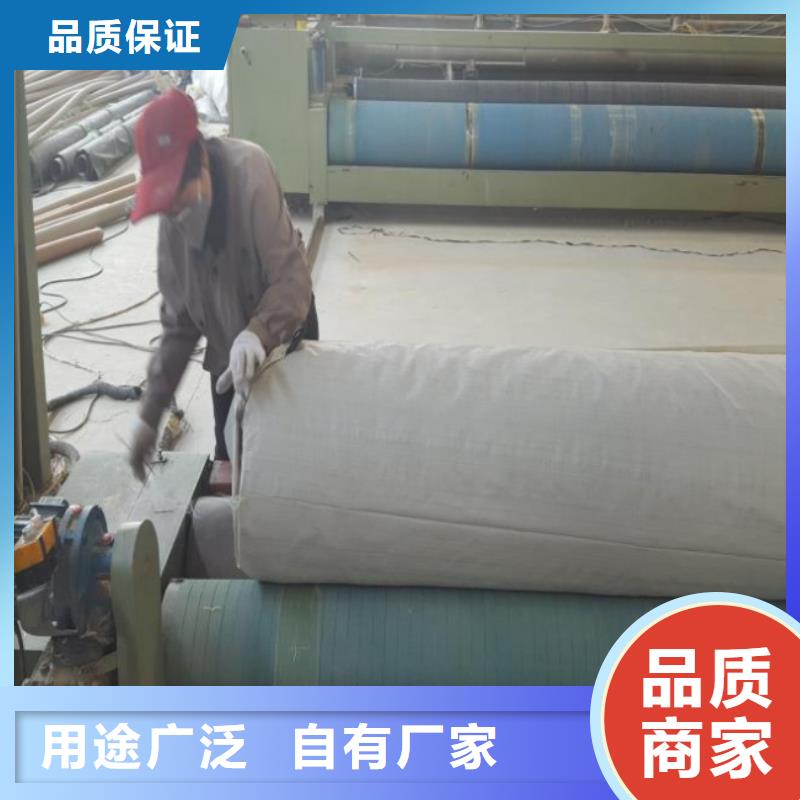【土工布聚丙烯双拉土工格栅一个起售】