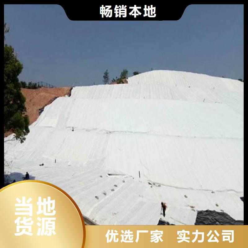 土工布钢塑土工格栅厂家厂家现货批发