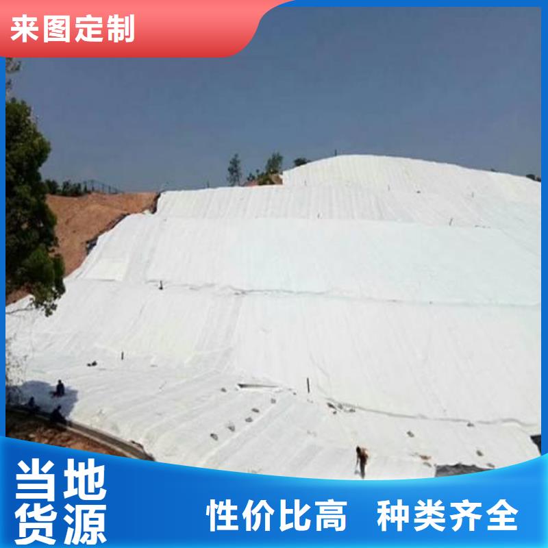 土工布钢塑土工格栅货源直销
