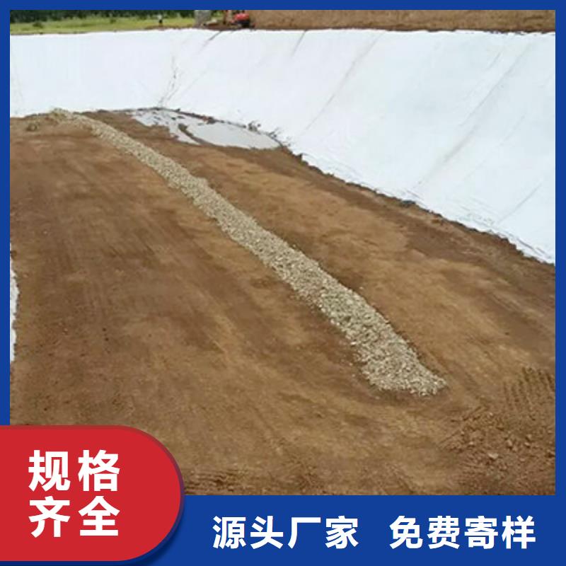 土工布双向塑料土工格栅可定制有保障