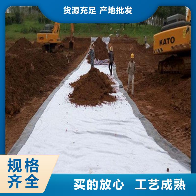 土工布-三维水土保护毯厂家直发