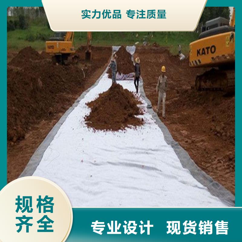 土工布-凸结点钢塑土工格栅商家直供