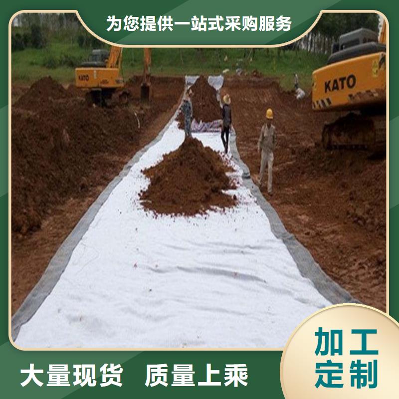 土工布玻璃纤维土工格栅好厂家有担当