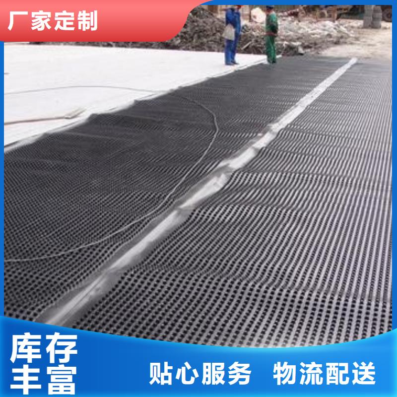 塑料排水板,钢塑土工格栅厂家质量优价格低