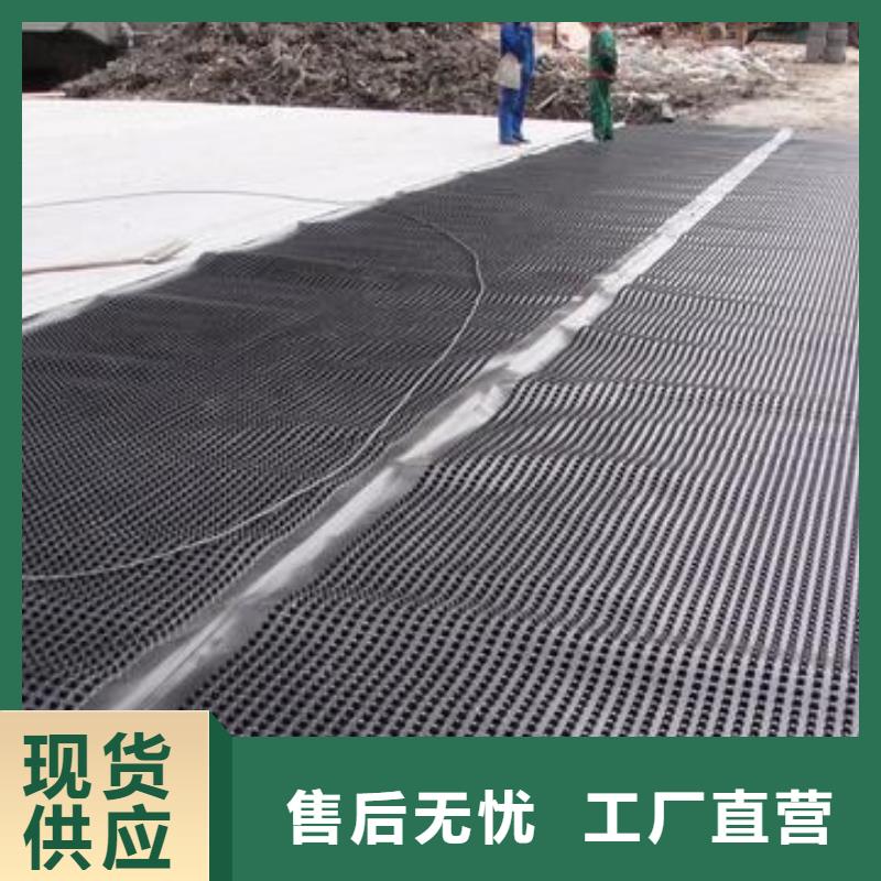塑料排水板多向塑料土工格栅现货供应