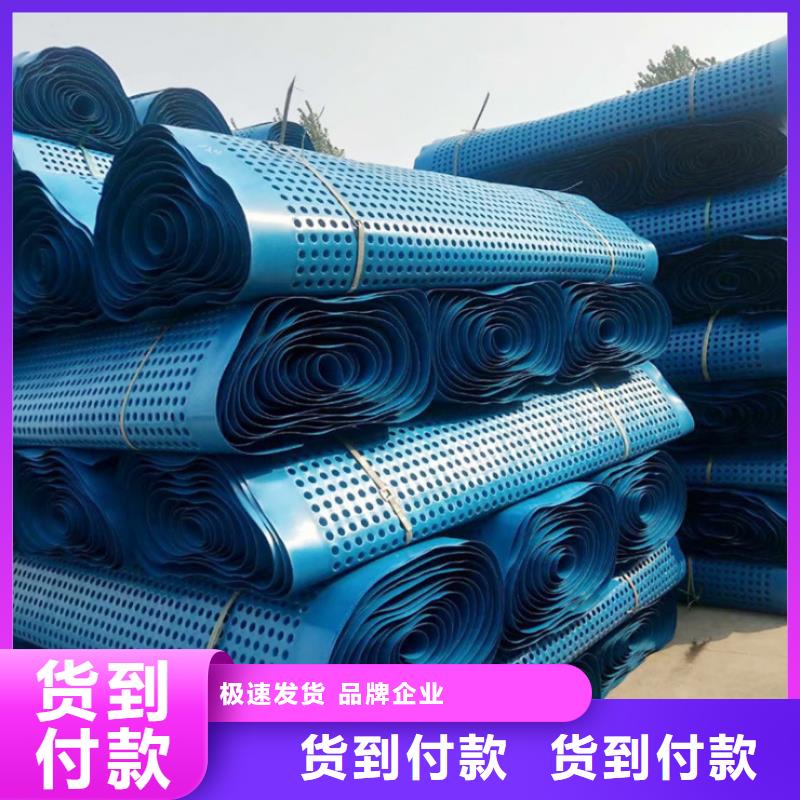 塑料排水板多向塑料土工格栅现货供应