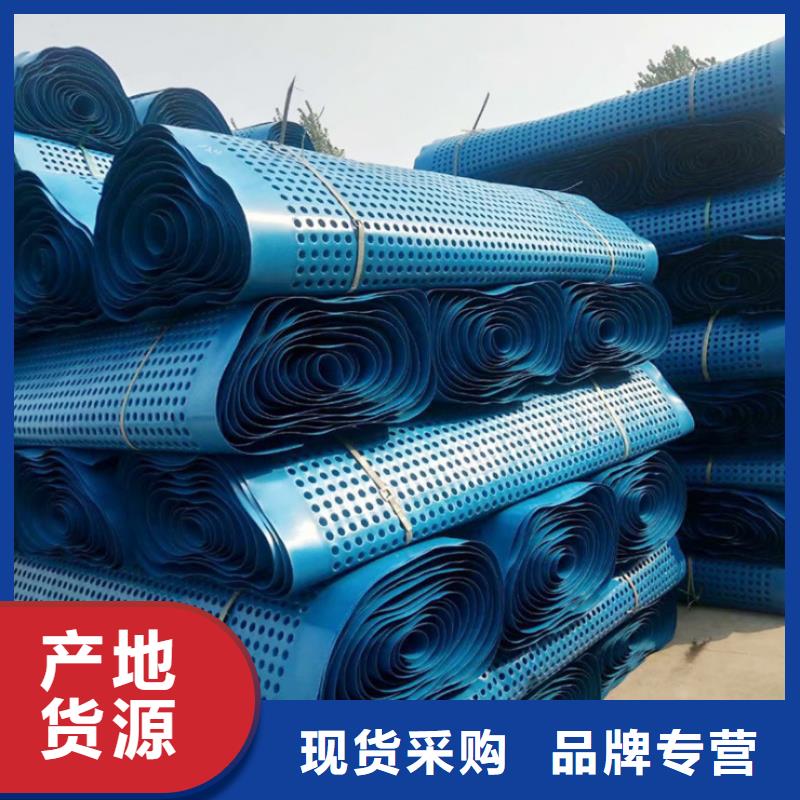 塑料排水板双向塑料土工格栅工艺层层把关
