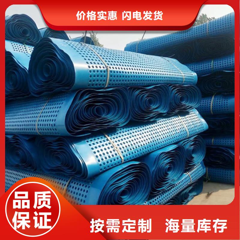 塑料排水板三维土工网垫严选材质