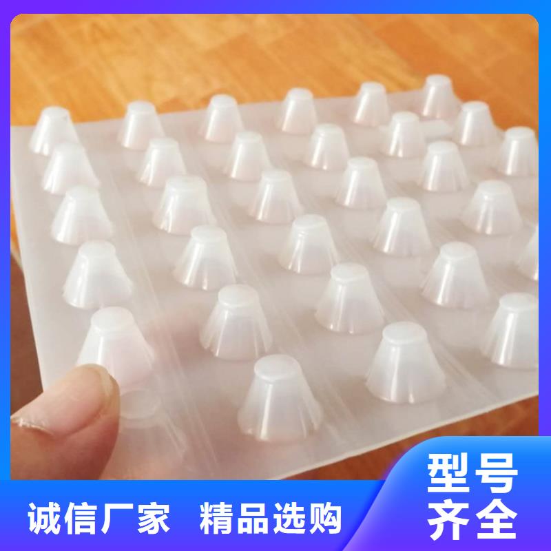 塑料排水板土工席垫货真价实