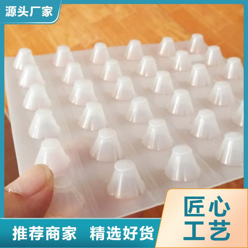 塑料排水板土工布批发实体厂家