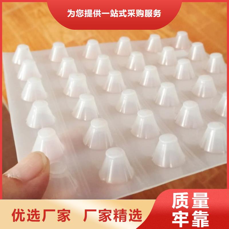 塑料排水板玻璃纤维土工格栅好品质经得住考验