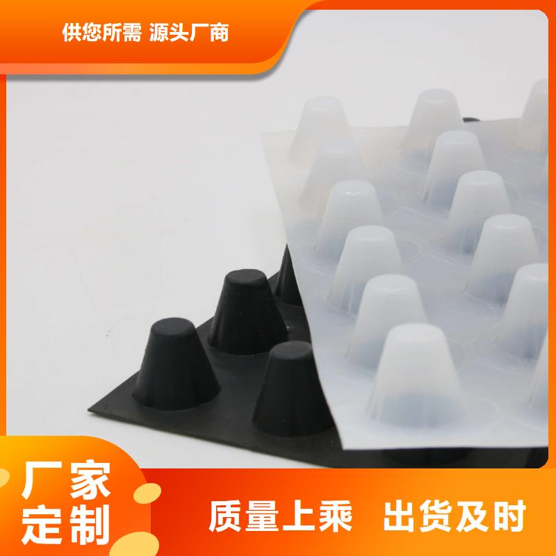 塑料排水板多向塑料土工格栅现货供应