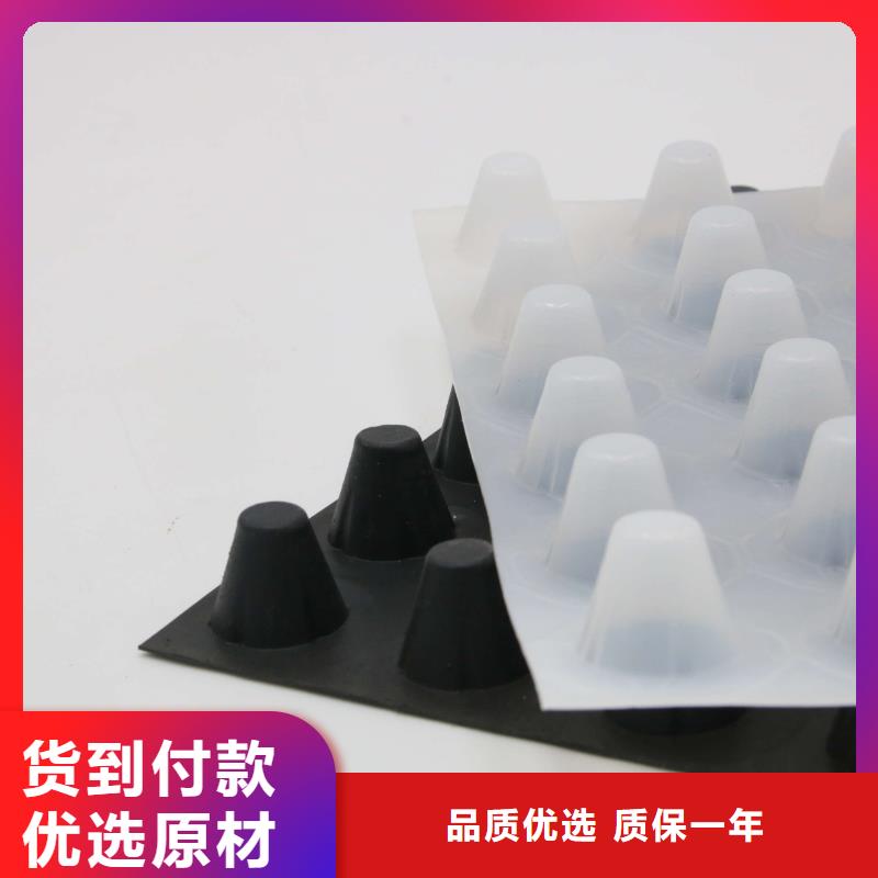 塑料排水板双向塑料土工格栅满足客户所需