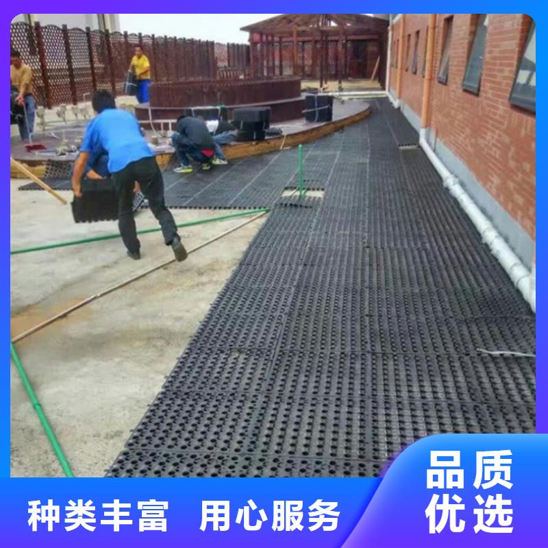 【塑料排水板】-钢塑土工格栅厂家货源充足