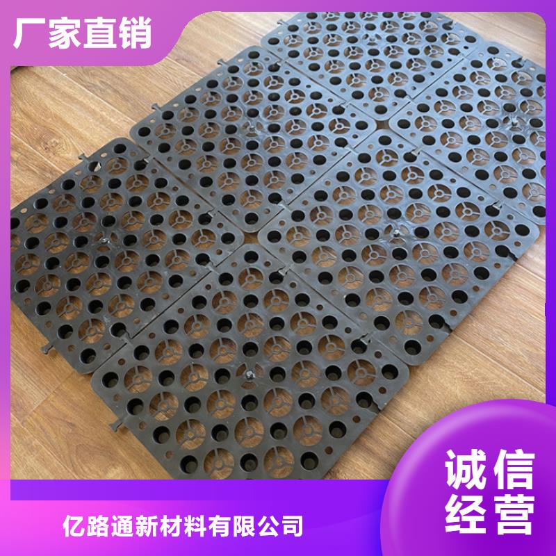 塑料排水板多向塑料土工格栅现货供应