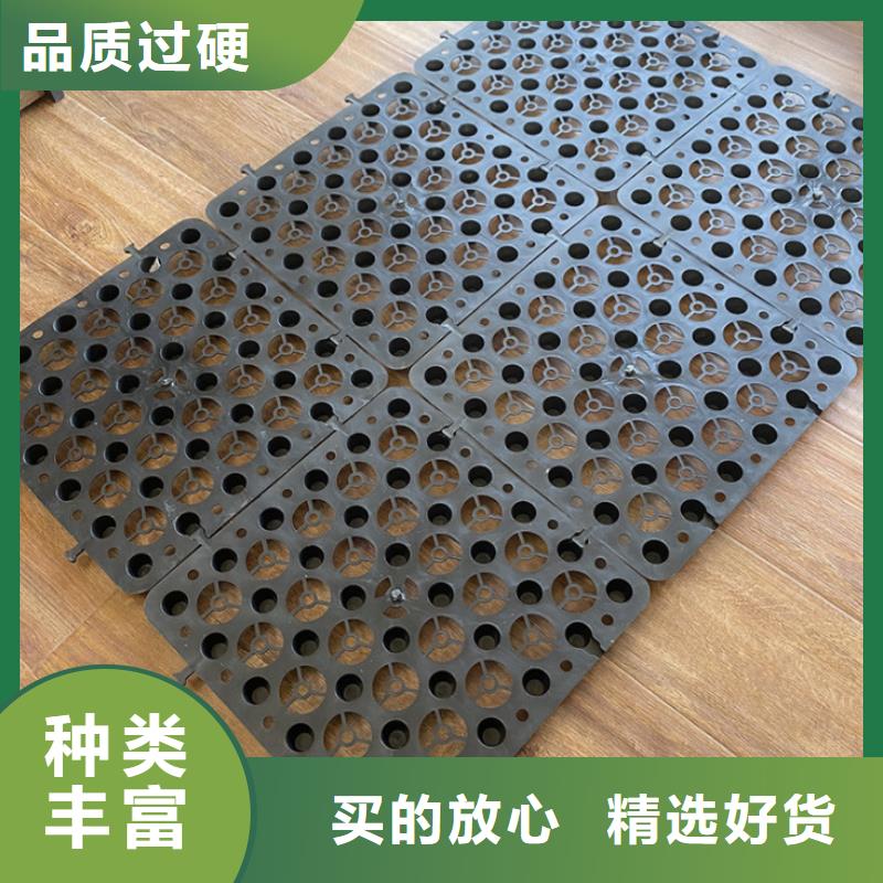 塑料排水板HDPE土工膜品质无所畏惧