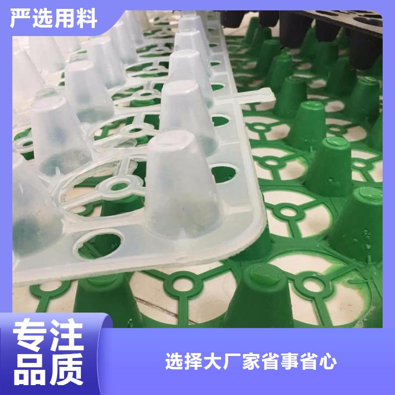 塑料排水板三维土工网垫闪电发货