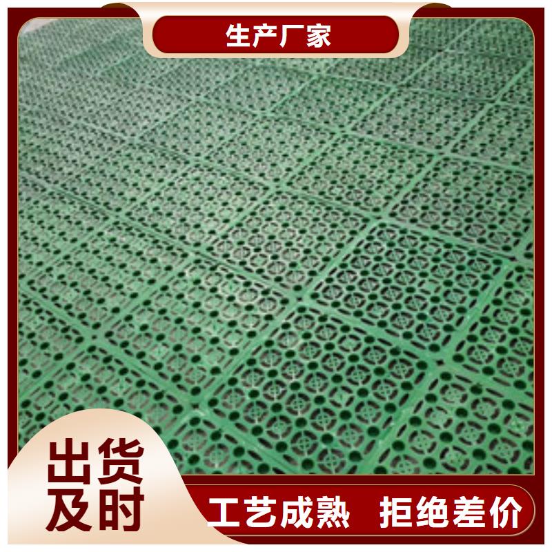 塑料排水板软式透水管匠心品质