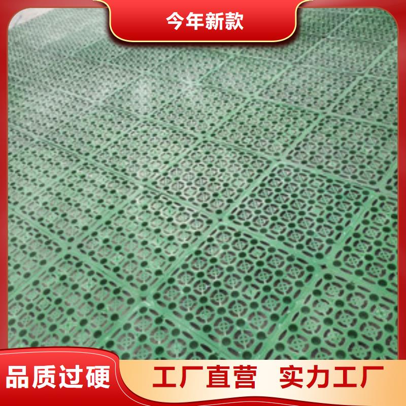塑料排水板聚丙烯双拉土工格栅大库存无缺货危机