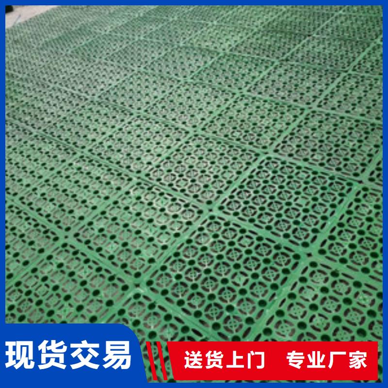 塑料排水板,【塑料盲沟】大库存无缺货危机