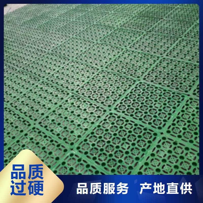 塑料排水板三维土工网垫闪电发货