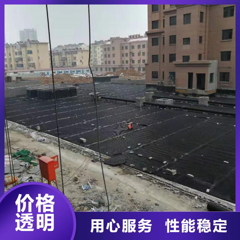 塑料排水板【三维水土保护毯】有口皆碑