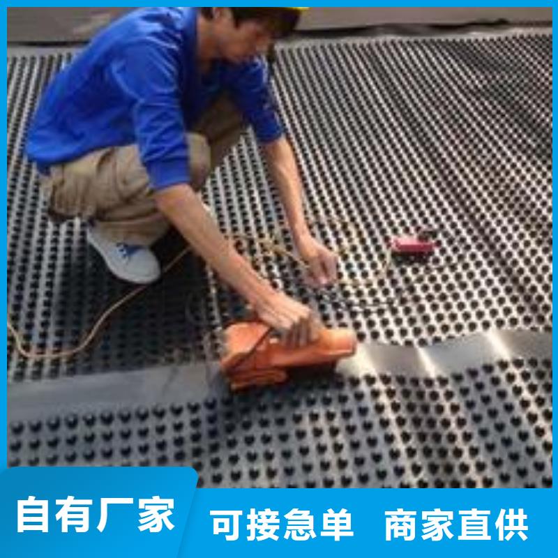 塑料排水板软式透水管匠心品质