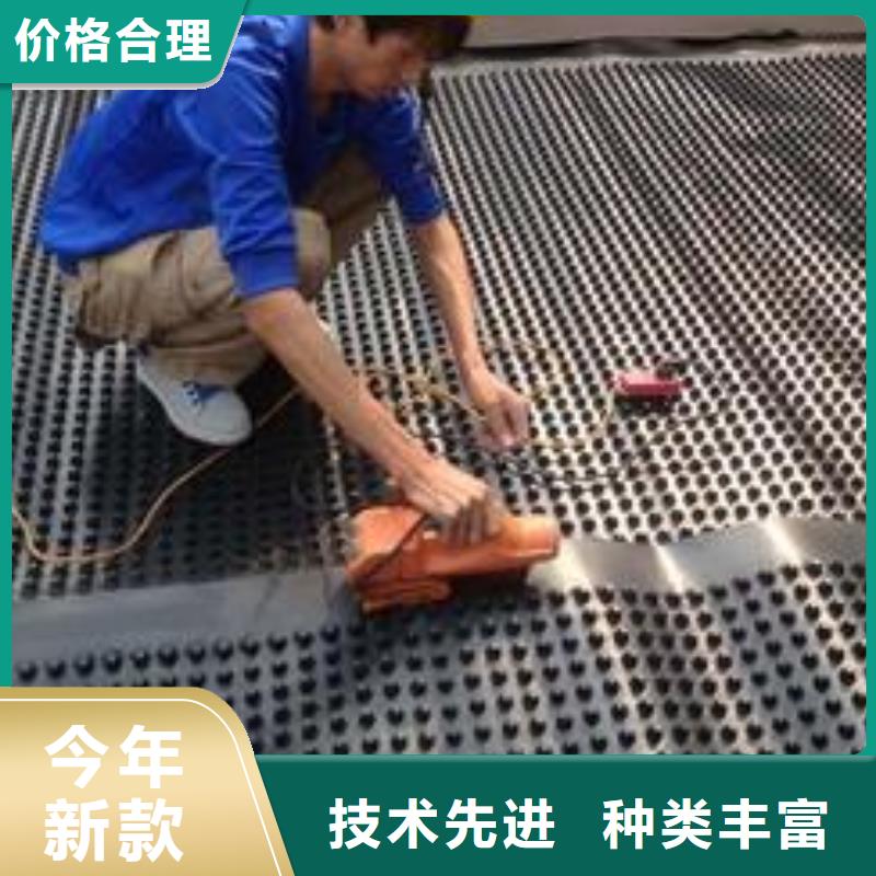 塑料排水板土工布批发实体厂家