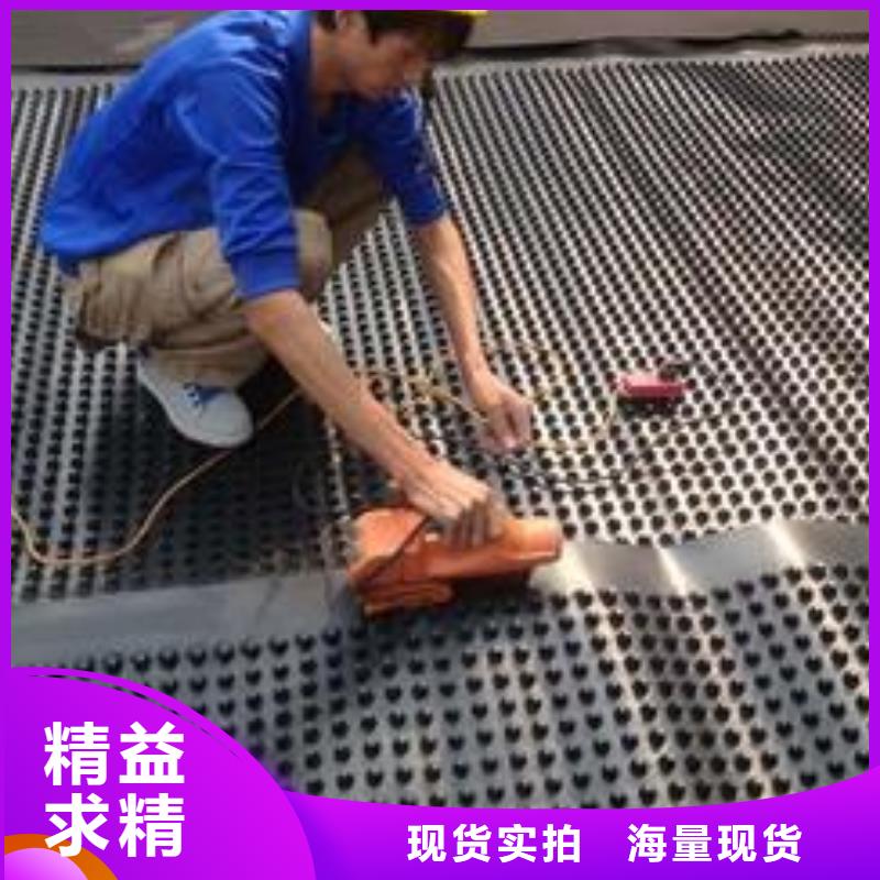 塑料排水板软式透水管匠心品质