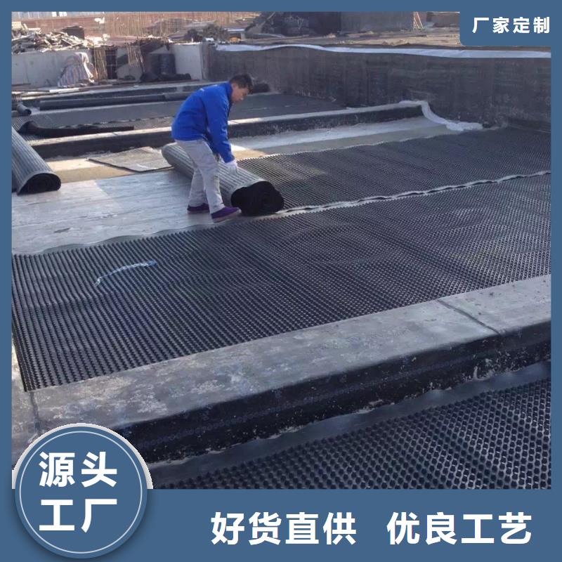 塑料排水板土工席垫品牌大厂家
