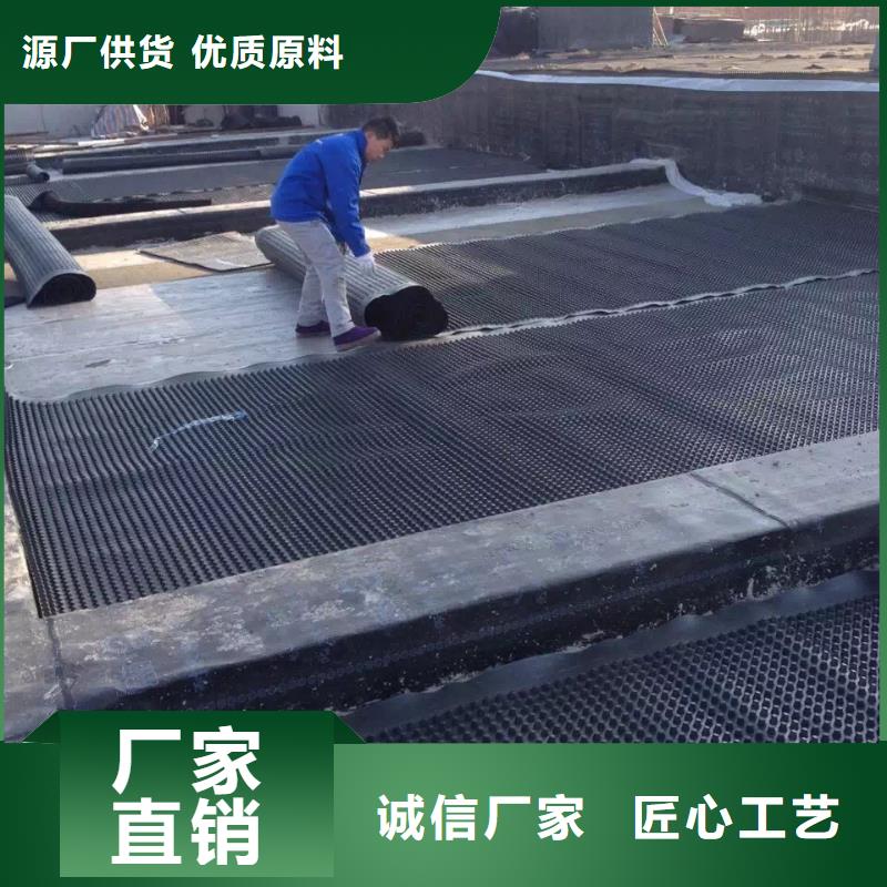 塑料排水板长丝无纺土工布现货直供