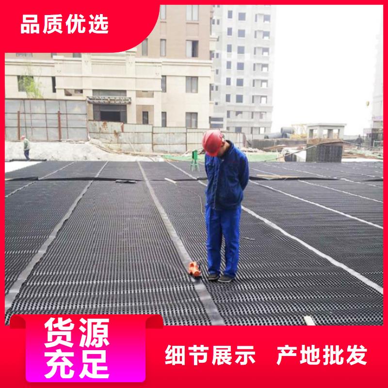 【塑料排水板】-钢塑土工格栅厂家货源充足