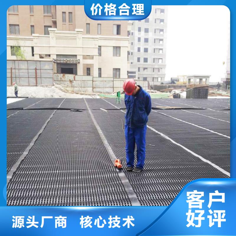 塑料排水板_三维土工网垫可零售可批发