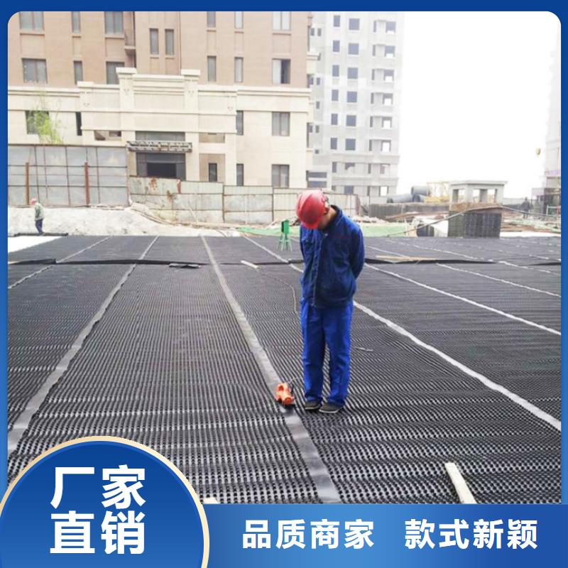 塑料排水板三维土工网垫闪电发货