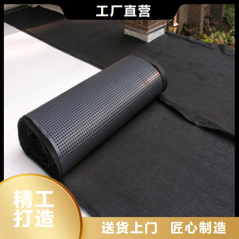 【塑料排水板三维水土保护毯每个细节都严格把关】