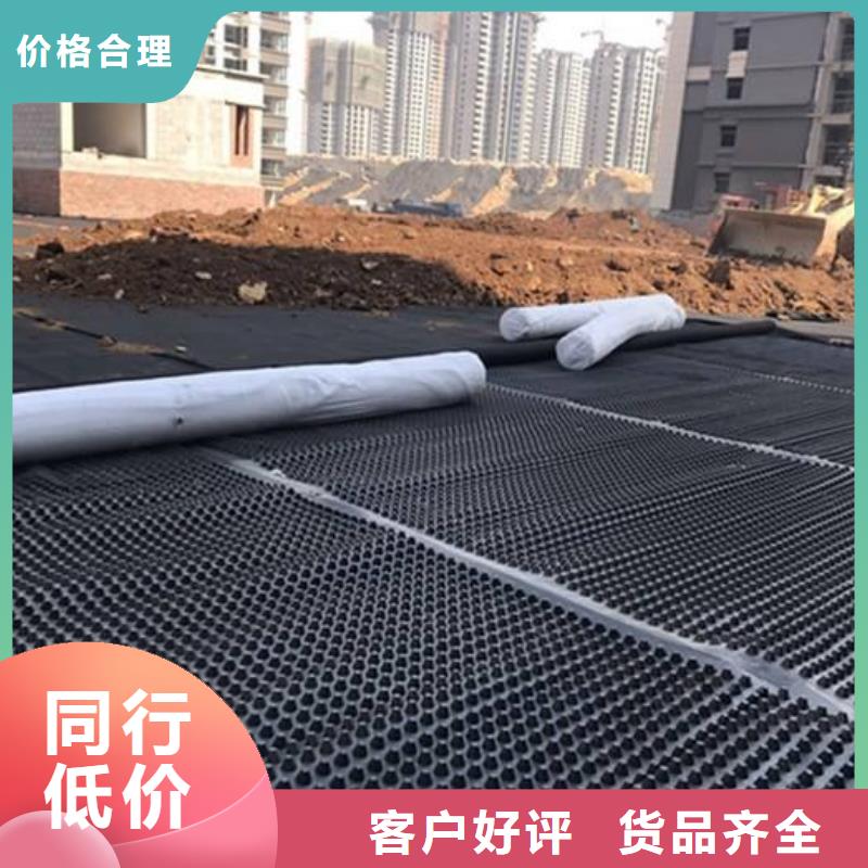 塑料排水板多向塑料土工格栅现货供应