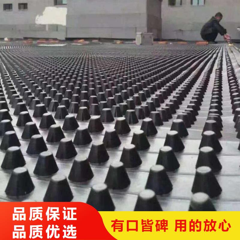 塑料排水板钢塑土工格栅厂家口碑好实力强
