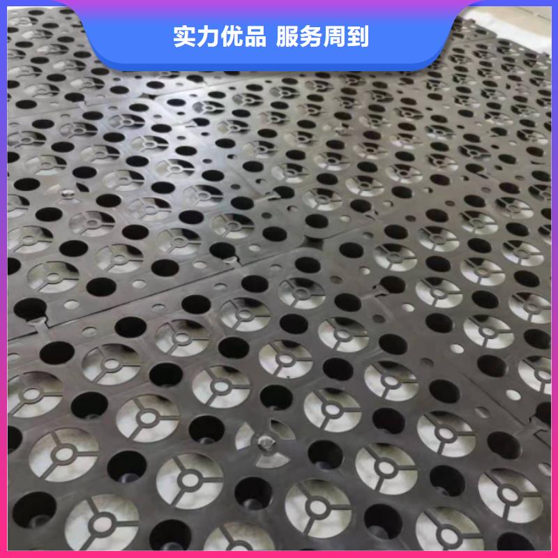 塑料排水板_土工席垫懂您所需