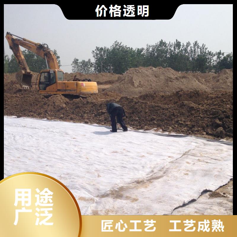 防水毯_土工布厂家实力雄厚