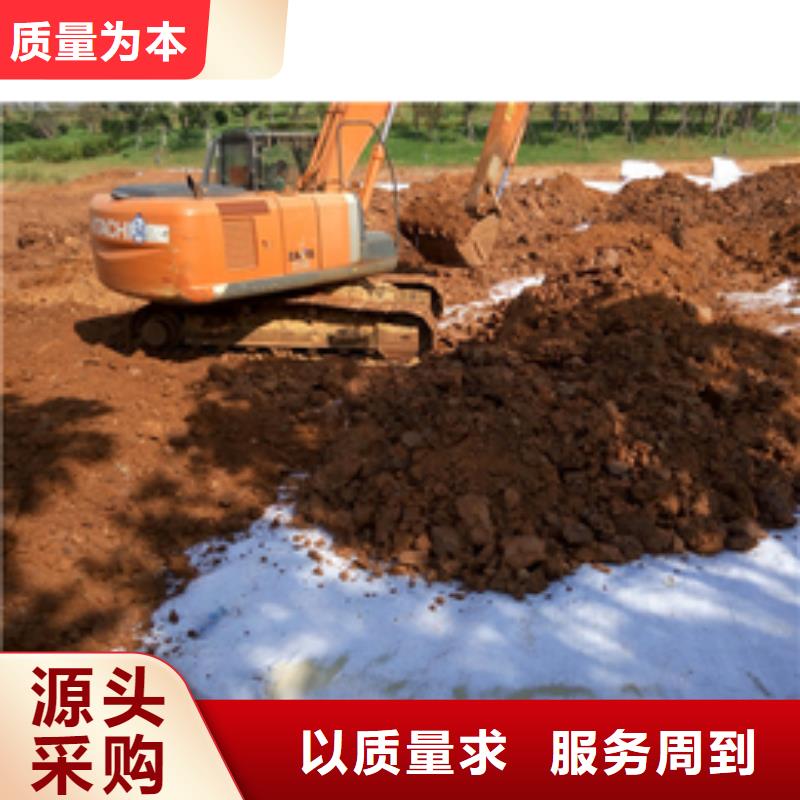 【防水毯】多向塑料土工格栅支持定制