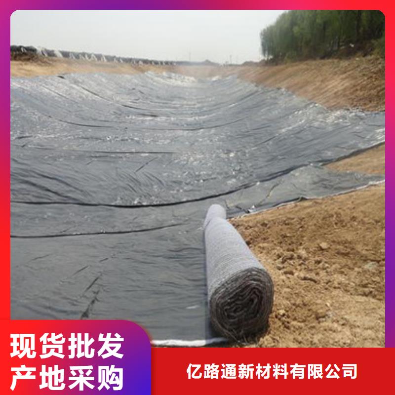 【防水毯】多向塑料土工格栅支持定制