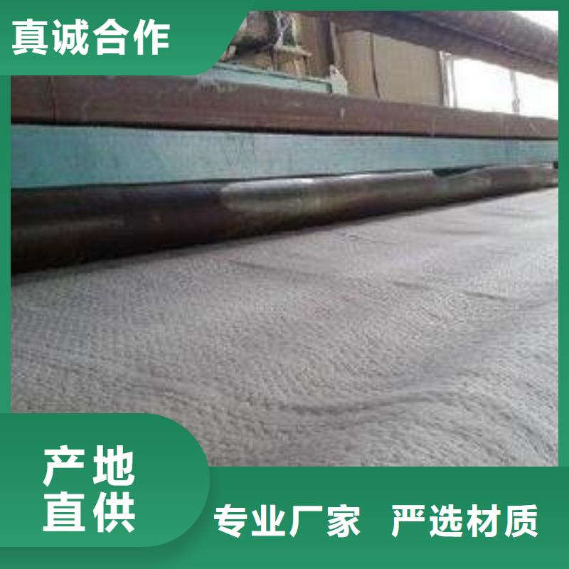 防水毯三维植被网厂家种类丰富