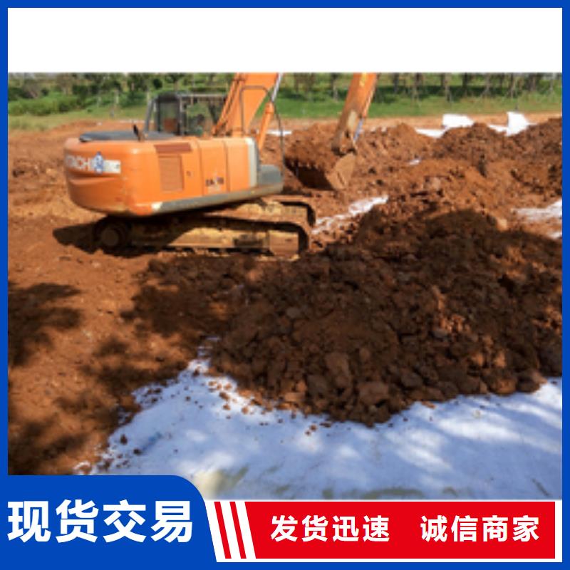 防水毯双向塑料土工格栅支持批发零售