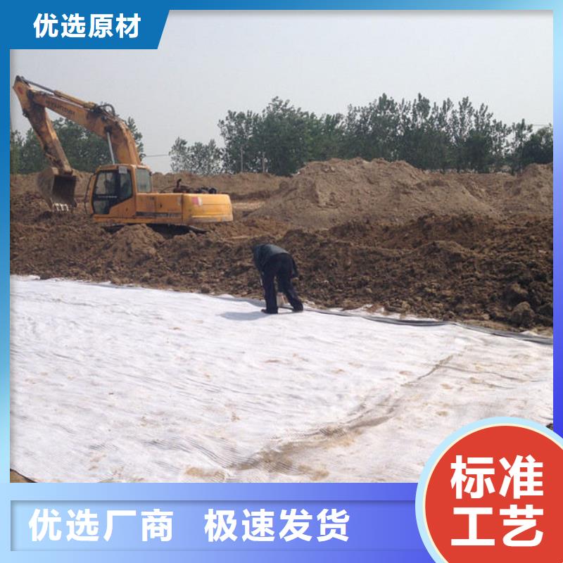 【防水毯】玻纤土工格栅保质保量