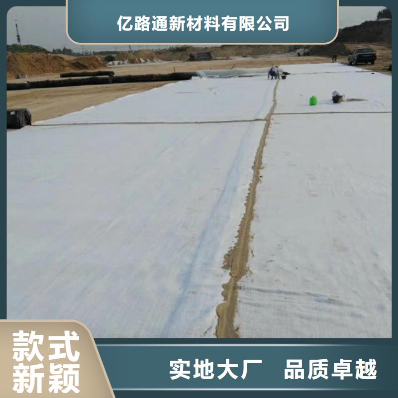 防水毯钢塑土工格栅生产型