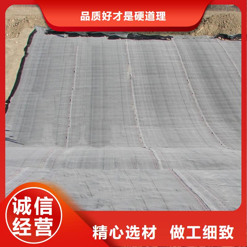 【防水毯】,土工格室专注生产N年